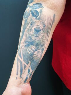 Täglich grüßt das Murmeltier :) #healedtattoo